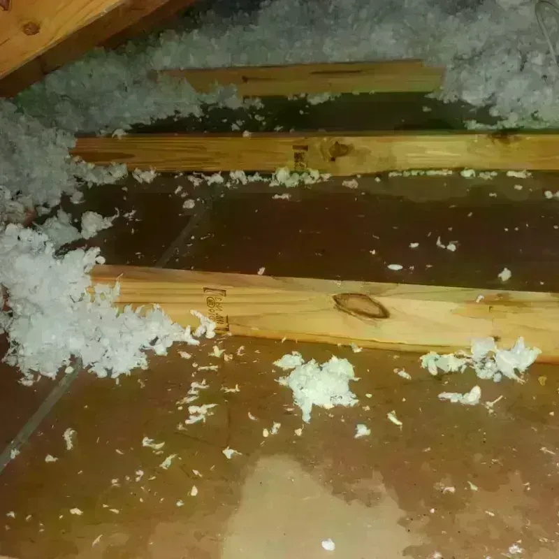 Attic Water Damage in Valentine, NE