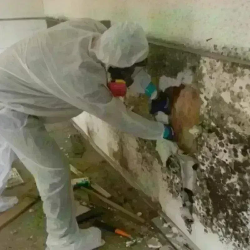 Mold Remediation and Removal in Valentine, NE